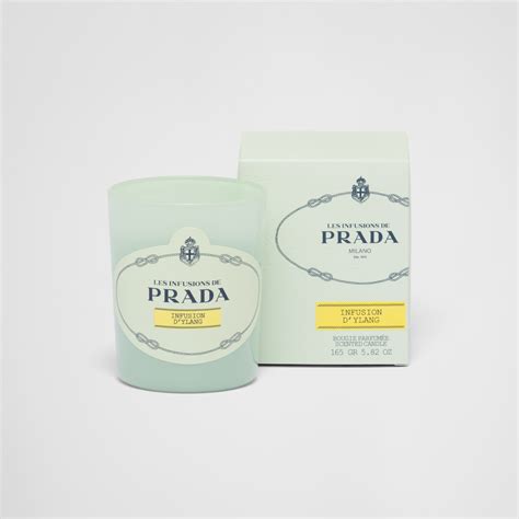 prada logo candle|Prada infusion d'ylang.